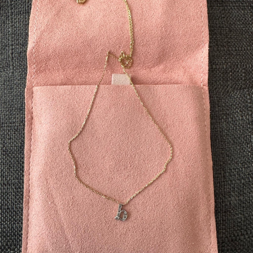 Gold Necklace with Silver Initial Pendant